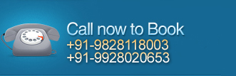 call us